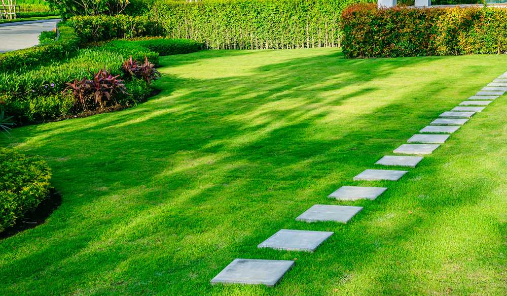 Why Hire An Aeration, Weed & Overseed Lawn Service In Marysville