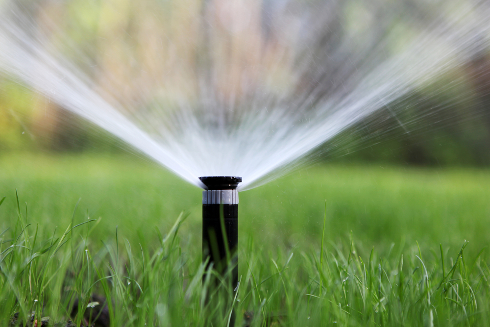 Irrigation Systems In Edmonds? Call Us For New Installations Or Repair Services!