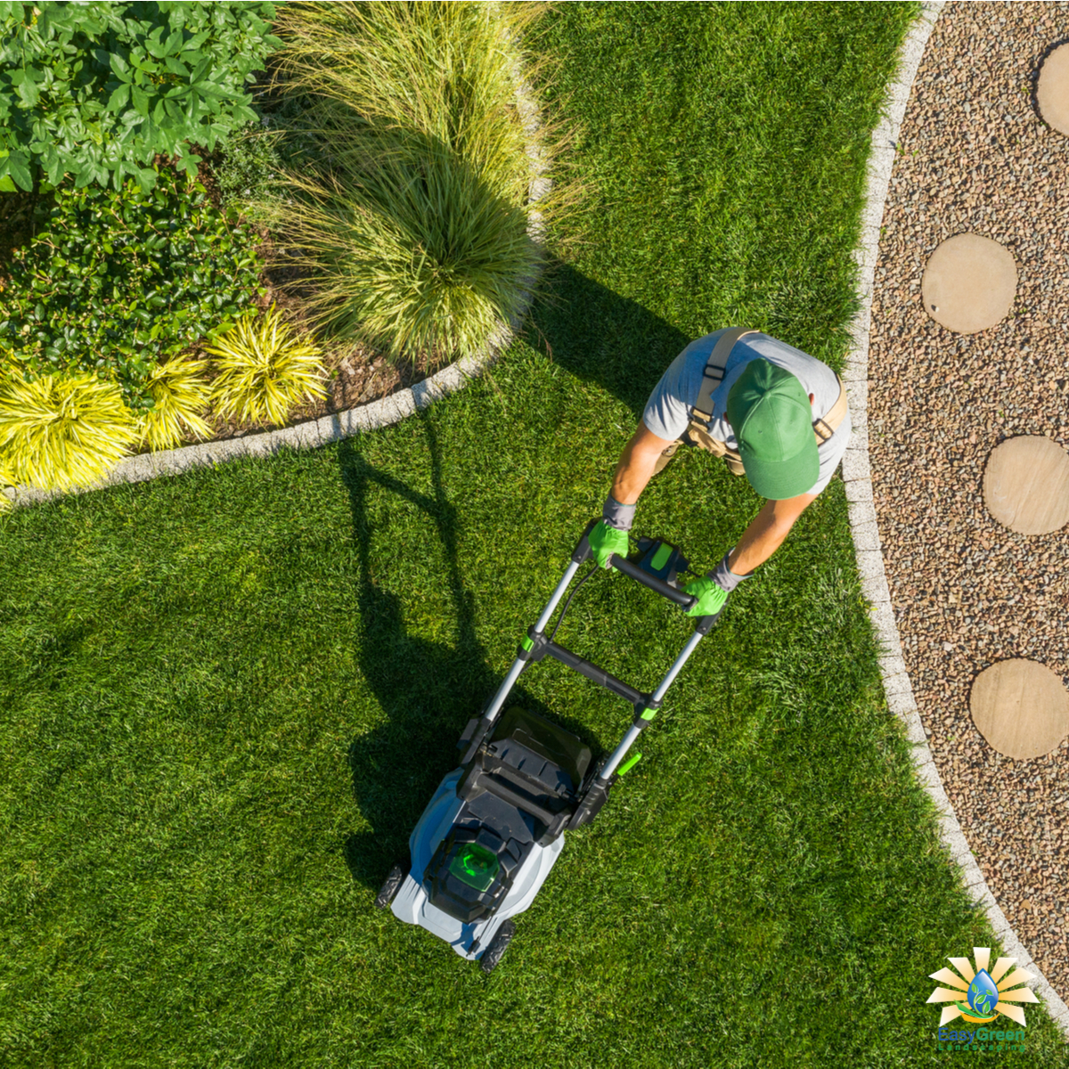 Ready To Design Your New Landscaping? Call Us For Installation In Duvall!