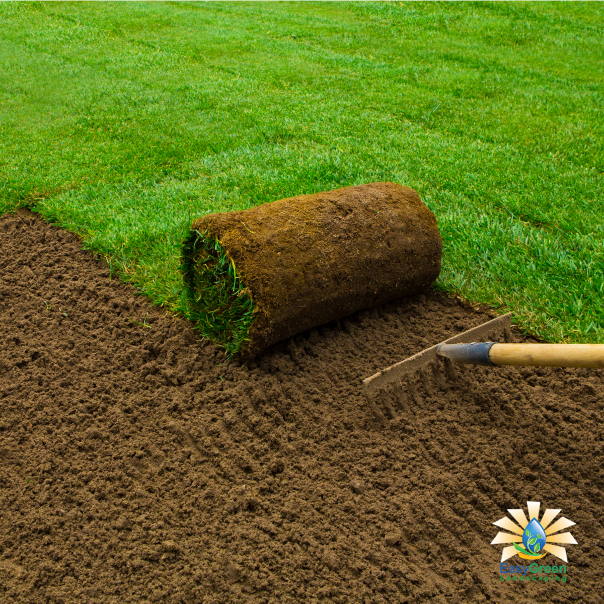 Hiring Professionals For Sod & Seed Lawn Installation In Bothell