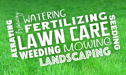 Are You Curious About Aeration And Overseeding Service In Woodinville?